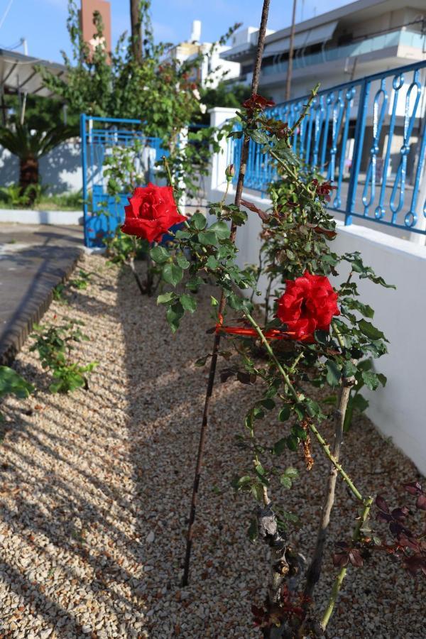 Traditional Town Garden Apartment Rhodes City Buitenkant foto